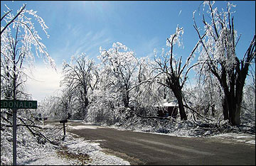 A residential street after an ice storm, with tree covered with ice and broken limbs lying about.