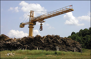A woody biomass processing facility.