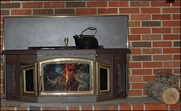 A fireplace insert.