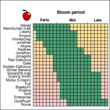 Apple and crabapple bloom period chart.