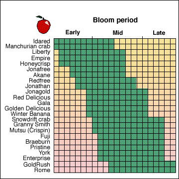 List Of Self Pollinating Fruit Trees - Best Fruit Trees For Small Gardens Dwarf Fruit Trees For Patio Balcony / In this case, purchasing 2 or more varieties would solve the problem.