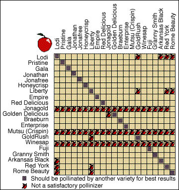 Apple pollination chart.