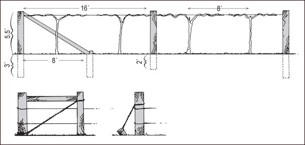 Construction details of a two-wire trellis and alternative methods of bracing end posts.