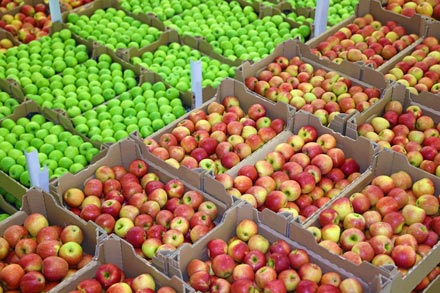Boxes of various varieties of green and red apples.