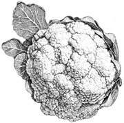 Cauliflower.