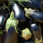 An eggplant cultivar.
