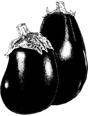 Eggplant