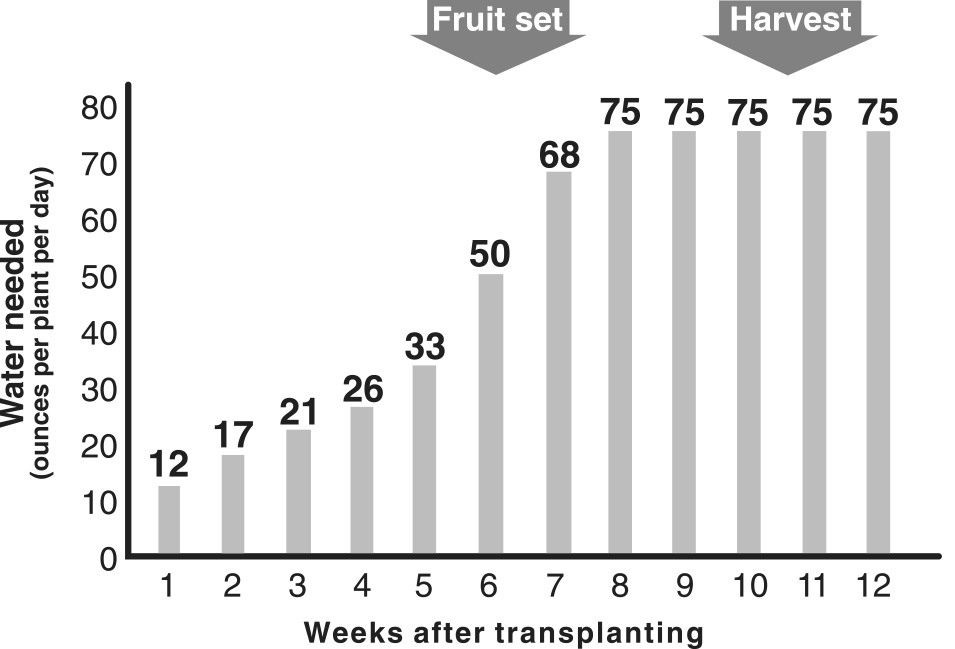 Graph depicting water requirements of tomatoes grown in a high tunnel.