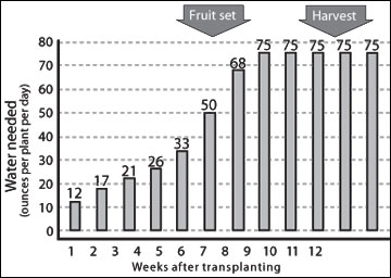 Graph depicting water requirements of tomatoes grown in a high tunnel.