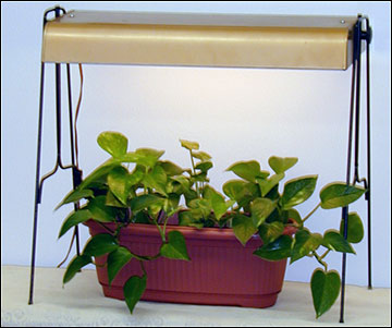 Artificial sunlight deals lamp for plants