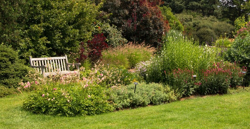 A mixed borders of perennials.