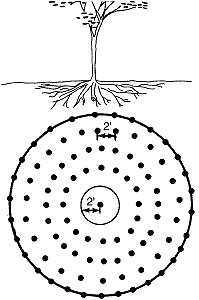 Hole method