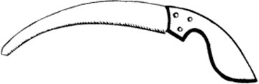 Pruning saw