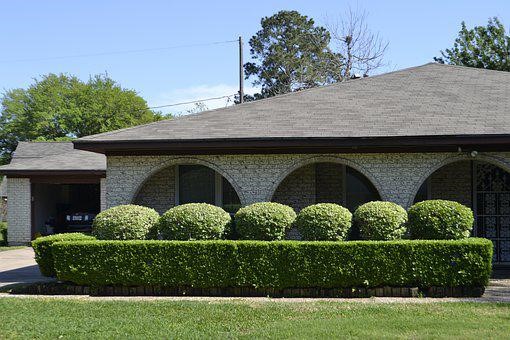 Hedges in front of a house