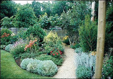 Plants grouped into beds