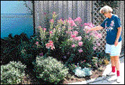 Check garden plantings