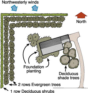 A typical plan for windbreaks.