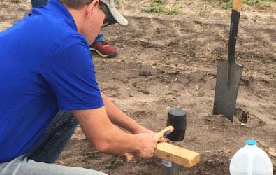 A man pounding a bulk density ring into the ground with a block of wood and a mallet.