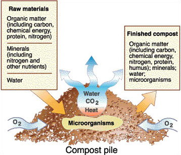 A compost pile encourages natural decomposition of organic materials.