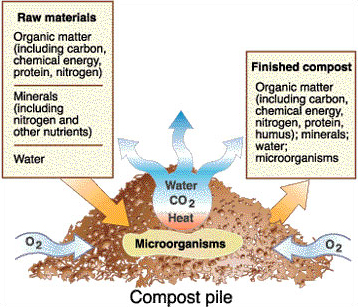 A compost pile