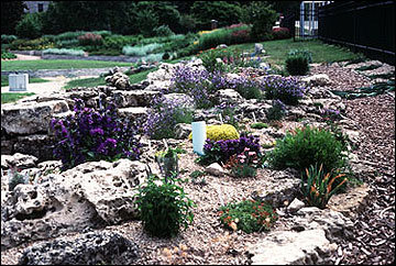 Gravel in a rock garden