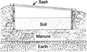 Hotbed built on a pile of manure