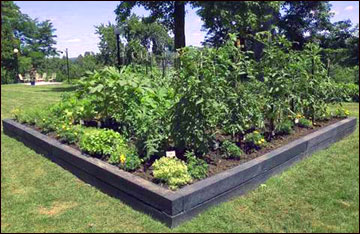 Temporary raised beds