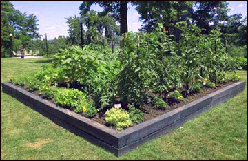 Raised-Bed Gardening | MU Extension