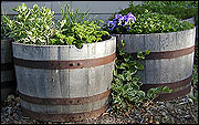 A grouping of barrels