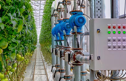 Automated systems in an CEA hydroponic greenhouse.