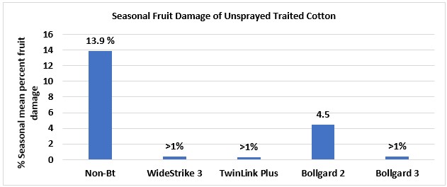 Seasonal fruit damage of unsprayed traited cotton