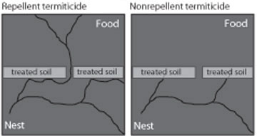 Differences between repellent and nonrepellent termiticides