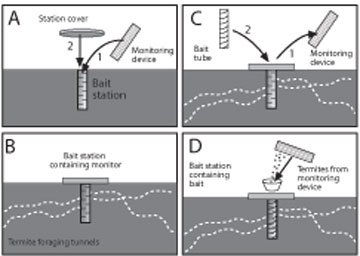 Steps followed during typical baiting cycle for subterranean termites