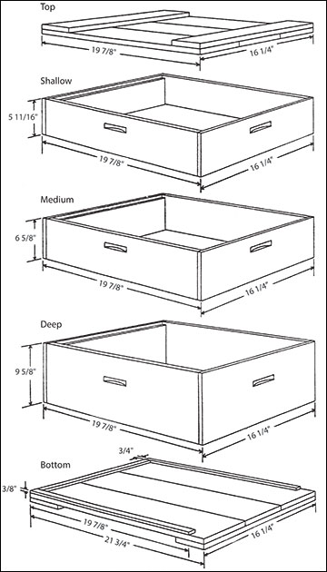 Parts of a bee hive