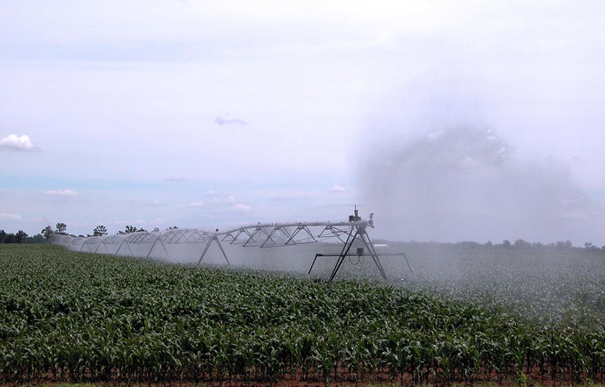 A crop field being irrigated by a center pivot system.