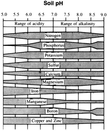 Effect of change in pH on the availability of plant nutrients