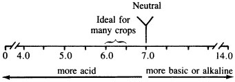 pH scale