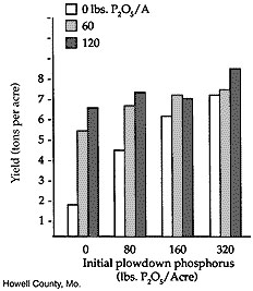 Alfalfa response to phosphorus, very low available phosphorus
