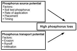 Vulnerability of a field for phosphorus loss