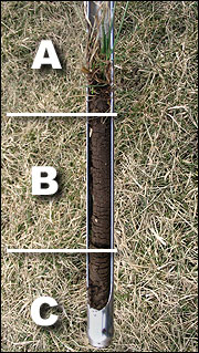 Obtaining a 6- to 7-inch core for soil samplingc