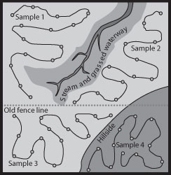 Soil sampling strategy for an 80-acre field.