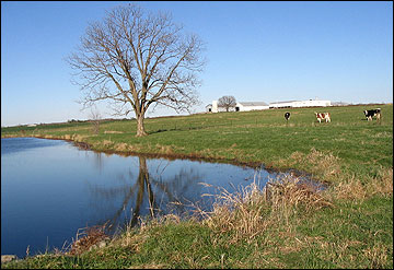 Runoff from agricultural fields can have a large impact on water