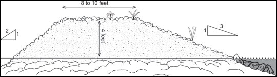 The potential for muskrat damage to pond dams can be greatly reduced