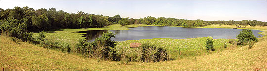 During a drought, water levels drop in watershed ponds