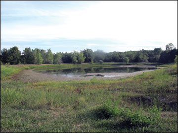 Pond waters can drop to dangerous levels