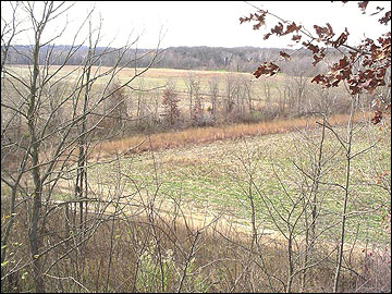 Habitats in agricultural areas