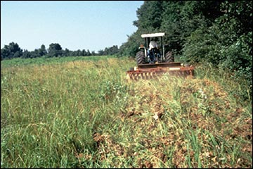 A field border being created with a strip disker.