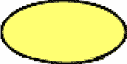 A yellow oval.