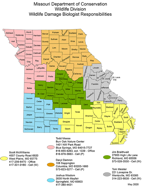 Solving Wildlife Damage Problems in Missouri | MU Extension