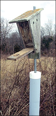 Build nest boxes